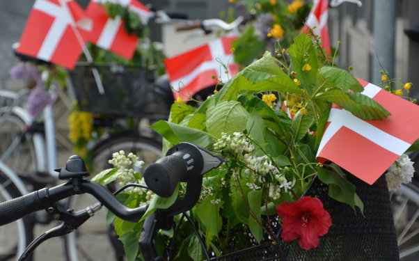 Dannebrog I Cykelkurv Og Bøgegrene