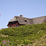 Sommerhus